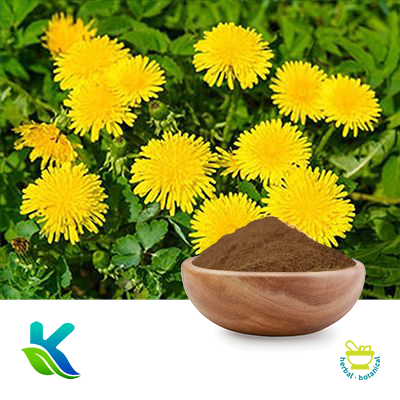 Dandelion Extract 10:1 by Hunan Naturext