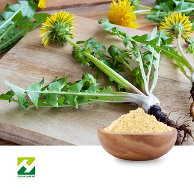 Dandelion Extract (Root) 10:1 by Organic Herb Inc