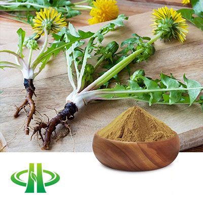 Dandelion Root Extract 4:1 by Shandong Zhongmin