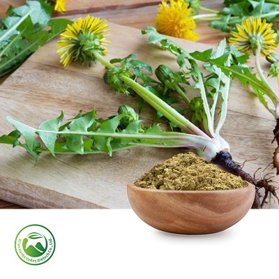 Dandelion Root Powder by Xi'an Herbs Valley