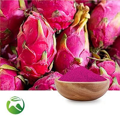 Dragon Fruit Extract 10:1 by Xi'an Herbs Valley
