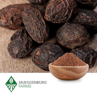 Saw Palmetto Berry, Powder by Mueggenburg USA