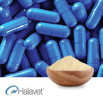 Edible Bovine Skin Gelatin 250-270 Bloom by Halavet Food Industry and Trade inc.