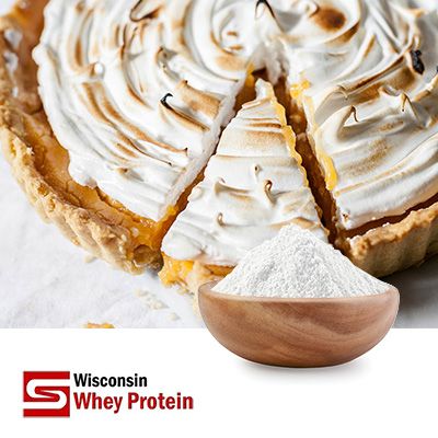 Edible Lactose Monohydrate 100 Mesh by Wisconsin Whey Protein