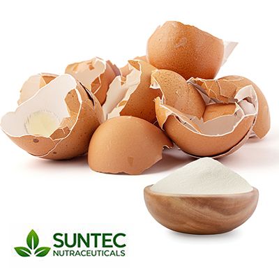 Egg Shell Powder by Suntec Nutraceuticals