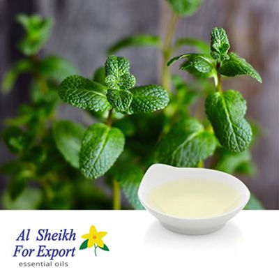 Egyptian Peppermint Oil by Al Sheikh For Export