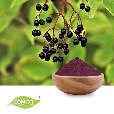 Elderberry Extract 10:1 by Comext