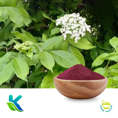 Elderberry Extract 10:1 by Hunan Naturext