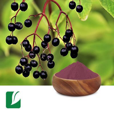 Black Elderberry Fruit Powder by Xi'an Longze