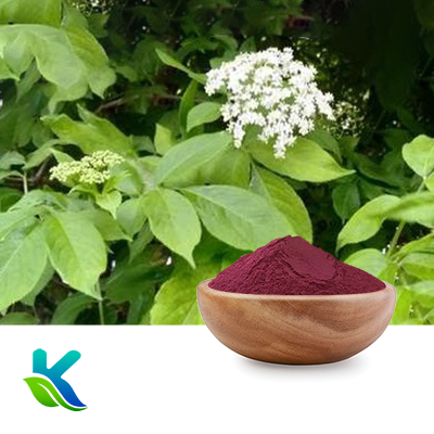 Elderberry Extract 10:1 by Hunan Naturext