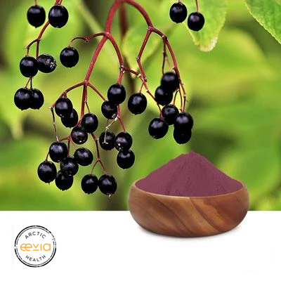Elderberry Juice Powder by Eevia Health