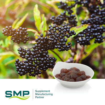 Elderberry + Vitamin C Gummies (Blueberry Flavor) by SMP