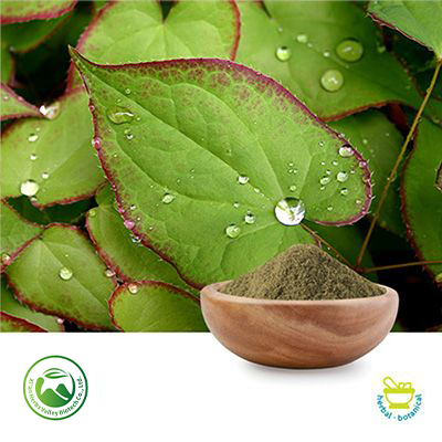 Epimedium Extract 10:1 by Xi'an Herbs Valley