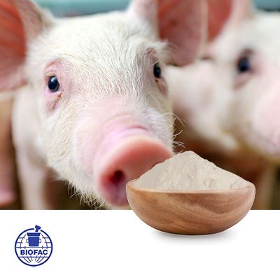 Porcine SOD 8000 MFU/g by BIOFAC A/S