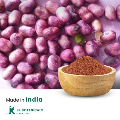 Eugenia Jambolana Powder Steam Treated by JK Botanicals