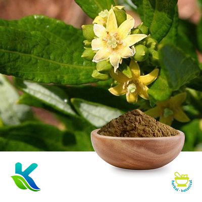 Fadogia Agrestis Extract 10:1 by Hunan Naturext