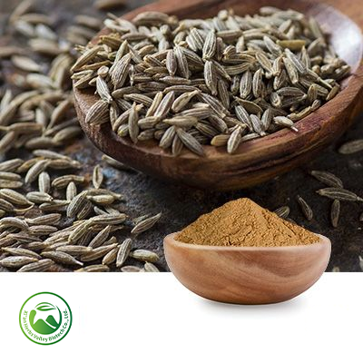 Fennel Seed Powder by Xi'an Herbs Valley