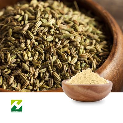 Fennel Extract 10:1 by Organic Herb Inc