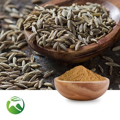 Fennel Seed Extract 10:1 by Xi'an Herbs Valley