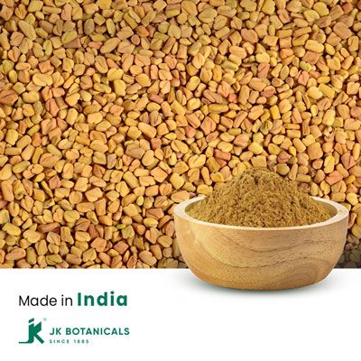 Fenugreek dry extract 40% Saponins By Gravimetry by JK Botanicals