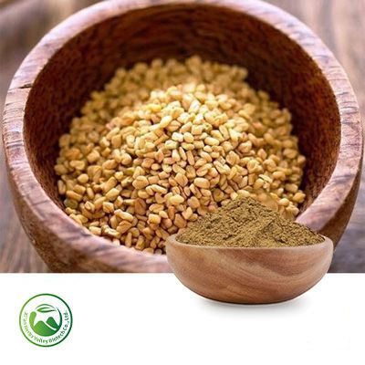 Fenugreek Seed Extract 50% Total Saponins by Xi'an Herbs Valley
