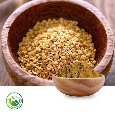 Fenugreek Seed Extract 10:1 by Xi'an Herbs Valley