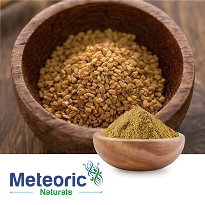 Fenugreek Extract 20% Saponin by Gravimetry by Meteoric Naturals Pvt. Ltd.