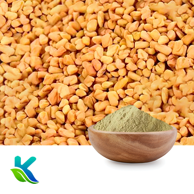 Fenugreek Extract 60% Saponins by Hunan Naturext