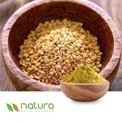 Fenugreek  Extract Powder  20% Saponins by Gravimetry by Natura Ayur Science