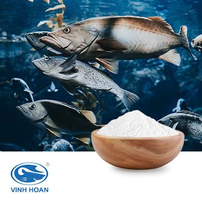Fish Gelatin 200 Bloom (Food Grade) by Vinh Wellness