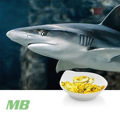 Fish Oil 360/240 Softgel 1259mg by MB Supplements