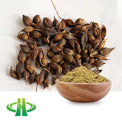 Forsythia Powder  by Shandong Zhongmin