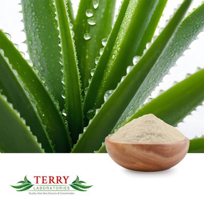 Freeze Dried Aloe Vera Powder 100x by Terry Laboratories