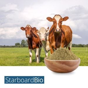 Freeze Dried Bovine Liver Powder by Starboard Bio