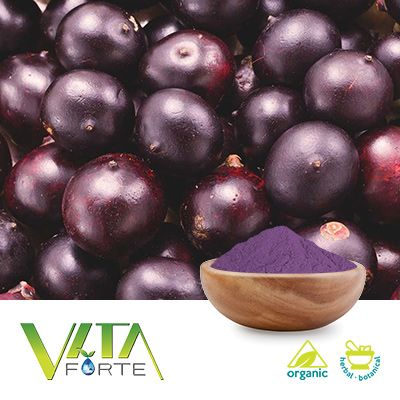Freeze Dried Acai Powder 60 Mesh (Organic) by Vita Forte, Inc