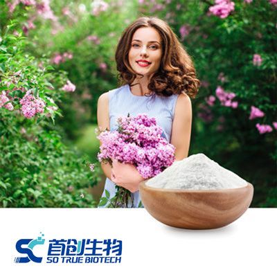 Fructooligosaccharides 95% Powder (FOS 95%) (NON-GMO & IP)  by Shandong Starlight So True Biological Technology