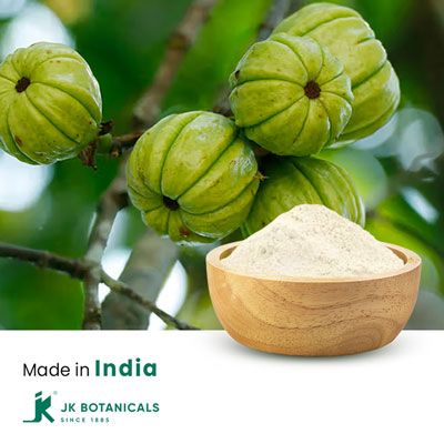 Garcinia Granules Extract 50% HCA by USP Std. (By HPLC) by JK Botanicals