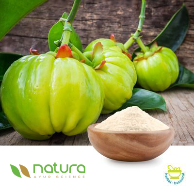 Garcinia Powder Extract 50% USP by Natura Ayur Science