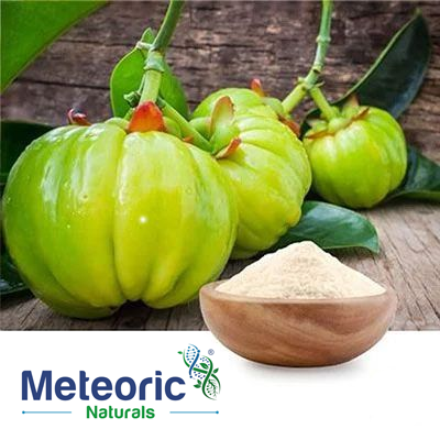 Garcinia Cambogia Extract 60% Powder by Meteoric Naturals