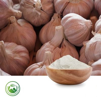 Garlic Powder by Xi'an Herbs Valley