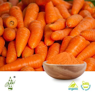 Organic Carrot Powder (BRC Certified Factory) by Qimei
