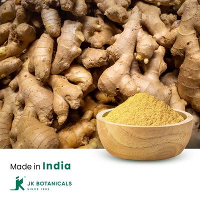Ginger Extract 5% Gingerols by HPLC by JK Botanicals