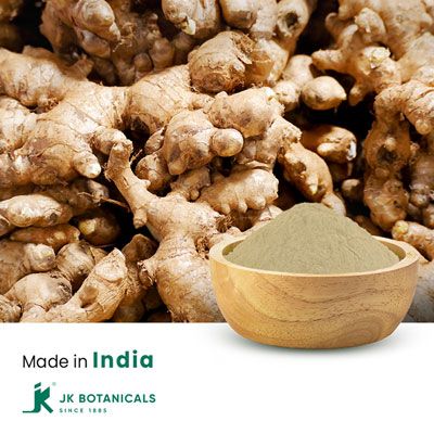Ginger Powder Untreated by JK Botanicals