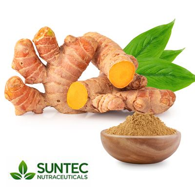 Ginger Root Extract 10:1 by Suntec Nutraceuticals