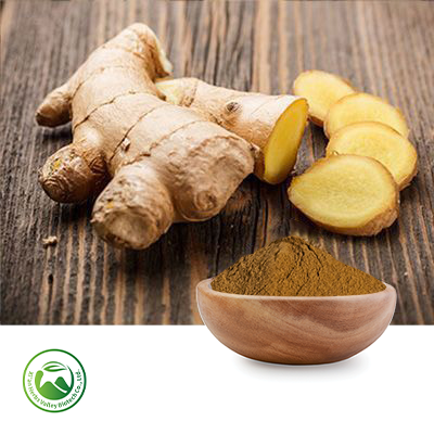 Ginger Extract 10:1 by Xi'an Herbs Valley