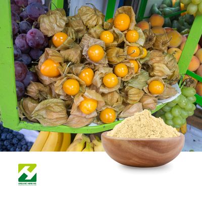 Ginkgo Biloba Extract 24% Flavonoids by Organic Herb Inc