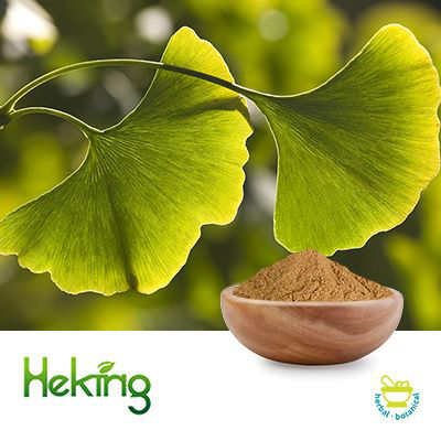 Ginkgo Biloba Extract 10:1 by Heking