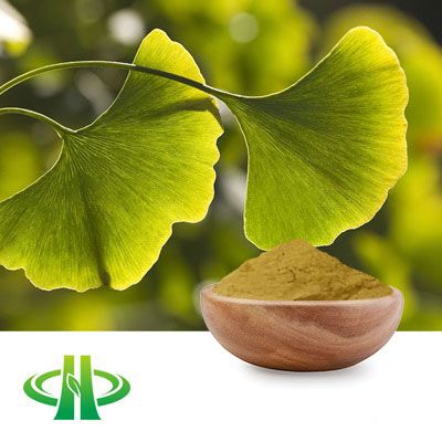 Ginkgo Biloba Extract Flavonids 22.0%-27.0% HPLC by Shandong Zhongmin