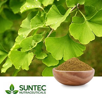Ginkgo Biloba Extract 24% Flavonol Glycosides by HPLC by Suntec Nutraceuticals