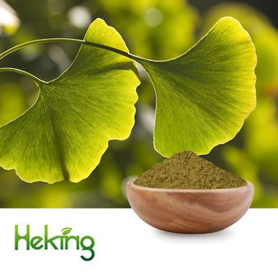 Ginkgo Biloba powder by Heking